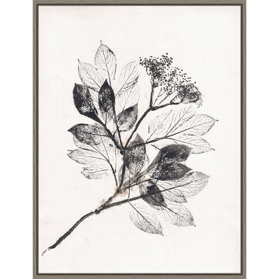 Amanti Art Elder BW by Pernille Folcarelli Canvas Wall Art Print Framed 18 x 24-in.