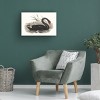 Trademark Fine Art - Elizabeth Gould  Majestic Waterbird III Canvas Art - 3 of 4