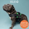 Joyride Harness Premium Advanced No Pull Dog Harness 2.0 Grass Green - 2 of 4