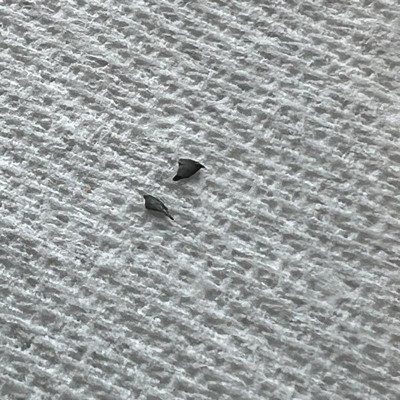 Guest review image 2 of 2, zoom in