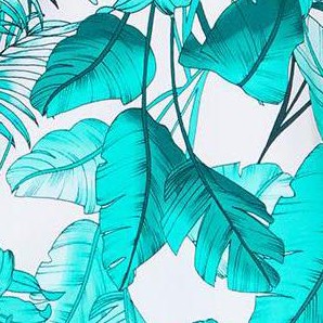 tropical palm