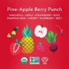 Once Upon a Farm Smart Blend Pine-Apple Berry Punch Organic Snack Pouch - 3.2oz - 3 of 4