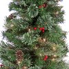 4.5' Prelit Cashmere Cone & Berry Entrance Tree Clear Lights - National Tree Company - 3 of 4