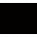 south carolina gamecocks