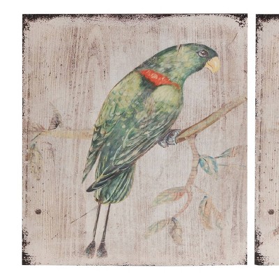 Tropical Multicolor Parrot Wall Art Set on Whitewashed Wood