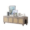 MAYEERTY 58*20"Double Hidden Cat Cabinet with Rattan Doors and Dual Entrances for Two Cats, Gray - 4 of 4