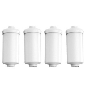 Nispira Premium Fluoride & Arsenic Reduction Elements Water Filter for Berkey Countertop & travel Water Purification System. 4 Packs - 1 of 4