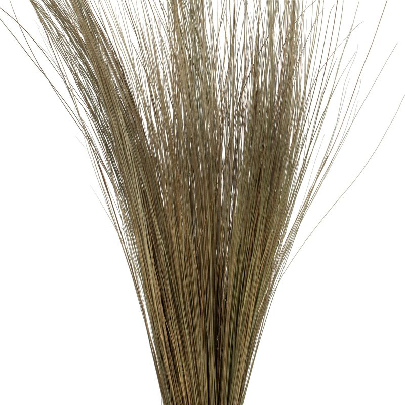 Vickerman 35"-40" Bright Grass Bundle, Dried, 2 of 6