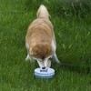 Pavilion Gift Company - Woof - Puppy Doggy Dog K-9 27 oz Food Water Meal Time Ceramic Stoneware Dish Bowl With Metal Iron Stand Pet Accessories - 2 of 4