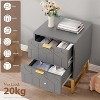 2 Drawers Dresser, Small Dresser Chest of Drawers, Modern Nightstand for Bedroom, End Table with Drawer for Living Room, Hallway, Entryway - 4 of 4