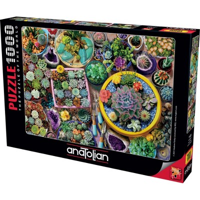Anatolian Cacti Pots 1000 pc   Jigsaw Puzzle 1122