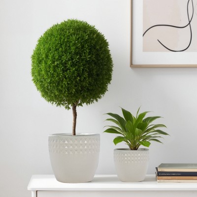 SpassWay 15" Dia Outdoor Indoor Ceramic Planter Pot Decorative Planter with Drainage Hole Patio Flower Pot