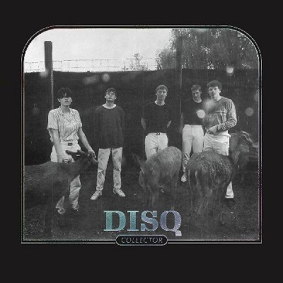 DISQ - Collector (CD)