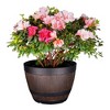 VECELO 9/11.3/13 in. Planters, Plastic Pot with Perforated Tray, Decorative Foliage Plants, Vintage Planters 3-Piece Set, Artificial Wood Planters - 4 of 4