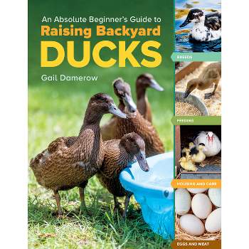 An Absolute Beginner's Guide to Raising Backyard Ducks - by  Gail Damerow (Paperback)