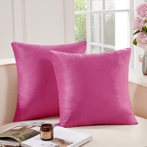 Deconovo Home Velvet Soft Decorative Pillow Covers Invisible Zipper Cushion Cover, 2-Pack - 1 of 4