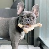 Nylabone Dura Chew Wishbone - Original Flavor(Wolf - For Dogs 26-35 lbs) - 4 of 4