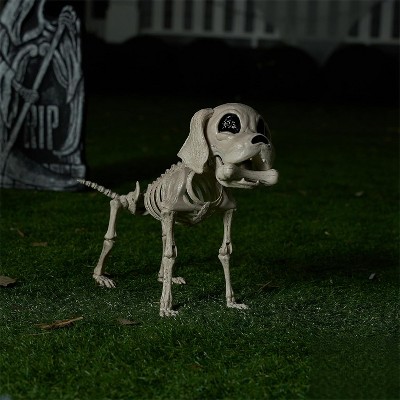 Joyfy 9.8’’ Halloween Posable Dog Skeleton, Full Body Puppy Skeleton with Movable Joints for Halloween Graveyard Haunted House Party Decoration
