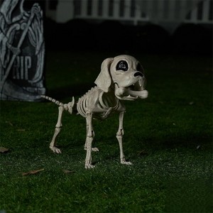 Joyfy 9.8’’ Halloween Posable Dog Skeleton, Full Body Puppy Skeleton with Movable Joints for Halloween Graveyard Haunted House Party Decoration - 1 of 4
