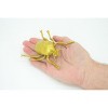 Collectible Wildlife Gifts | Gold Beetle, Resplendent Beetle, Hand Painted, Rubber Insect, Realistic Figure,  Model, Gift,   4 1/2"    AR22 B329 - 3 of 4