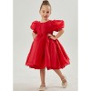 2Bunnies Girls' Organza Puff Sleeve Babydoll Fit & Flare Dress - 3 of 4