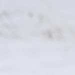 blue plate + black pole + blue wheel