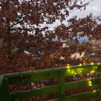 Guest review image 1 of 1, zoom in