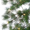 5ft Sterling Tree Company Flocked Alpine Tree Artificial Christmas Tree - 2 of 4