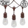 Novelty Lights 37.5 Feet Heavy Duty Light Strings and Sets with 25 Suspended E26 Sockets, Brown Wire PVC Stringer, 18" Spacing, End-To-End Connectable - 2 of 4