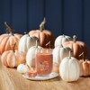 Yankee Candle Signature Votive Mini Candle Jar  Spiced Pumpkin Scent  Natural Soy Wax Blend Candle with Natural Fiber Wick  1.3oz Glass Jar  4-Pack - 2 of 2
