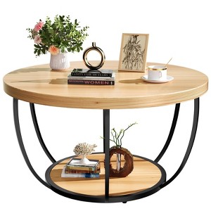 Hrinhom 31.5"W Round Coffee Table,  2 - Tier Modern Accent Center Table with Metal Frame - 1 of 4