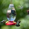 Perky-Pet Plastic Nectar Hummingbird Feeder - Clear (33 Oz) - 3 of 3