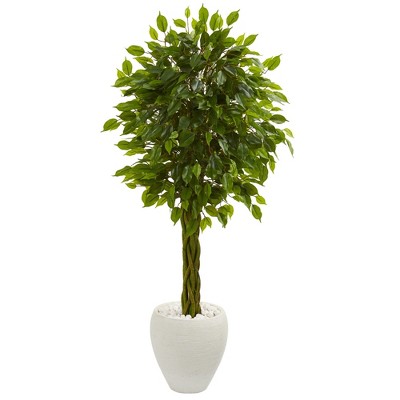 4.5ft Braided Ficus Artificial Tree In White Planter - Nearly Natural