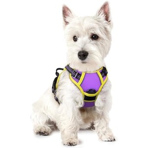 rabbitgoo Dog Harness No Pull with 2 Leash Clips, Control Handle for Puppy, Purple & Yellow, XS - 1 of 1