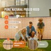VEVOR Natural Reed Fencing, 3.3 ft x 13.3 ft, Reed Screen Curtain Balcony Reed Fence Roll for Outdoor Backyard Patio, Decorative Fence - 3 of 4
