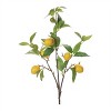 Lemon Fruit Foliage Branch (Set of 6) - 2 of 3