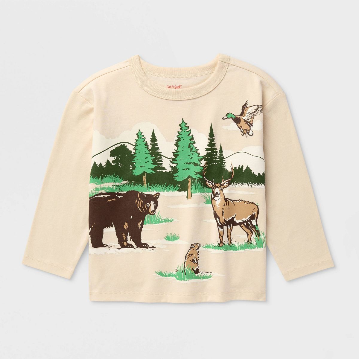 Toddler Boys' Long Sleeve Oversized Graphic T-Shirt - Cat & Jack™ - thumbnail 5