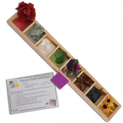 Kaplan Early Learning Nature Seek and Sort - Wooden Sorting Tray - 20"L x 3"W