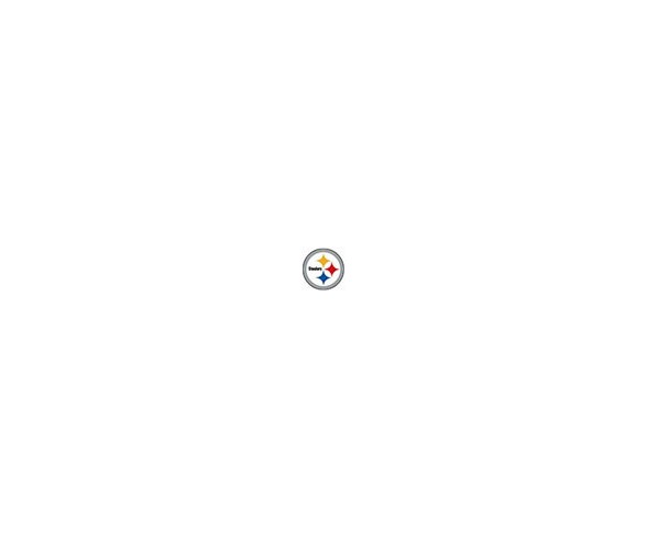 Pittsburgh Steelers Topperscot&#174; Tree Ornament