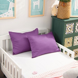 2 Pack Zippered Satin Toddler Pillowcases, Luxury Travel Pillow Covers - NTBAY - 1 of 4