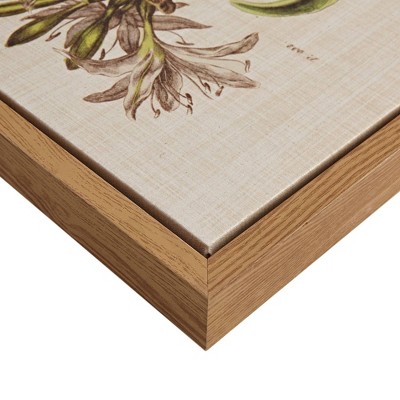 Herbal Botany 4-Piece Framed Canvas Wall Art Set with Botanical Illustrations