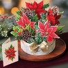 FreshCut Paper 10" Birch Poinsettia 3D Pop Up Floral Bouquet Greeting Card and Envelope - 2 of 4