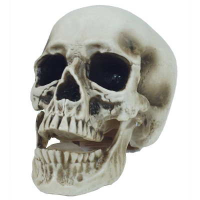 7 "Halloween Vinyl Skull