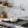 WOWOW Wall Mounted Pot Filler with Double Handle in Brushed Nickel - 4 of 4