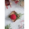 Gulches Series Silver Shatterproof Natural Iced Leaf Twig Ball Christmas Ornament - 3 of 4