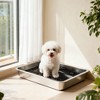 PawHut Dog Potty Tray Stainless Steel, Dog Training Tray for Small and Medium Dogs, for Porch, Bathroom, Balcony, 28" x 20" x 4" - 2 of 4