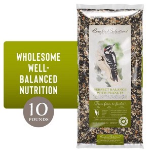 Songbird Selections Perfect Balance with Peanuts Wild Bird Seed Wild Bird Food 10 lb - 1 of 1