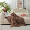 Amelie Home Reversible Chenille Cable Knit Throw Blanket - 3 of 4