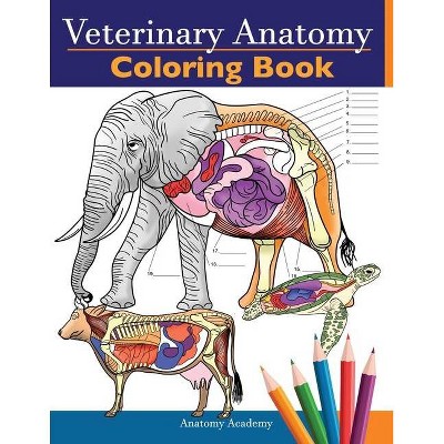 Veterinary Anatomy Coloring Book - by  Anatomy Academy (Paperback)