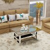 Modern Mirror Glass Coffee Table with Storage, 2-Tier Rectangular Mirror Center Table for Living Room – Panipeachy - 3 of 4